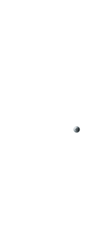L1